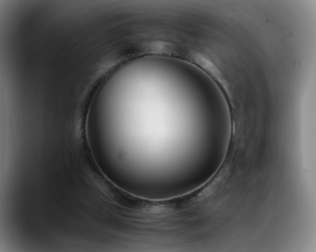 X0000089450249200706151437