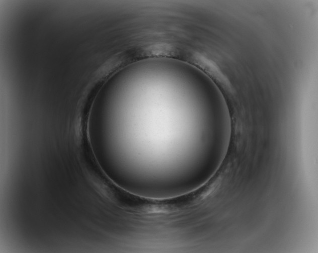 X0000089450250200706151437
