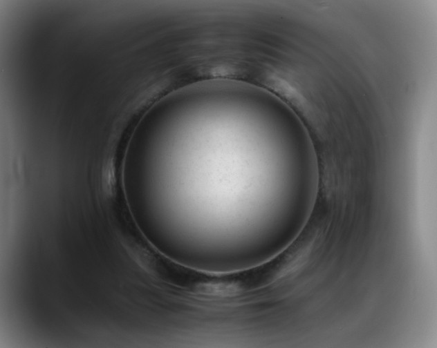X0000089450251200706151437