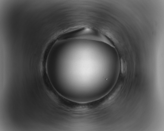 X0000089450252200706151437