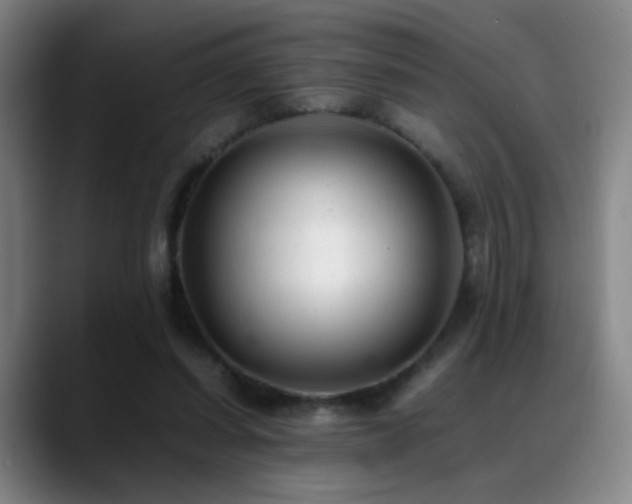 X0000089450254200706151437