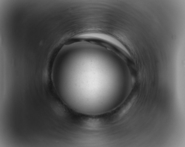 X0000089450256200706151437
