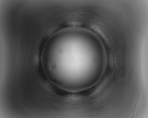 X0000089450259200706151437