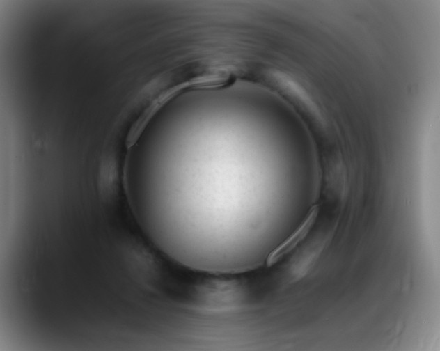 X0000089450260200706151437