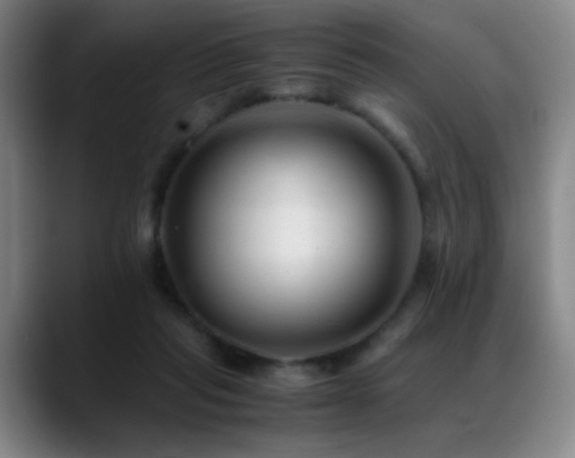 X0000089450261200706151437