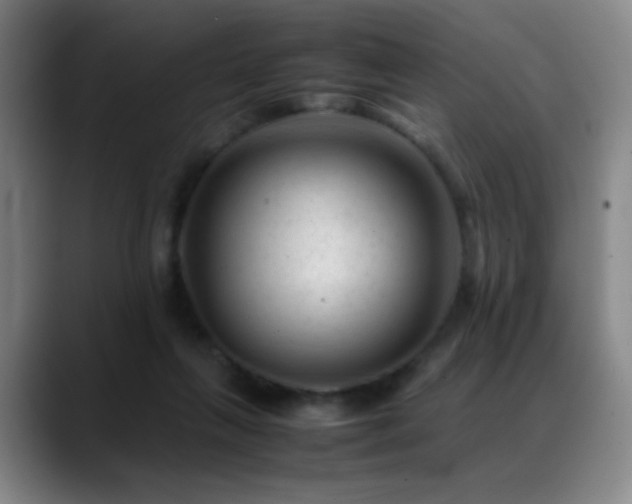 X0000089450263200706151437