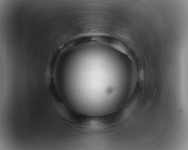 X0000089450264200706151437
