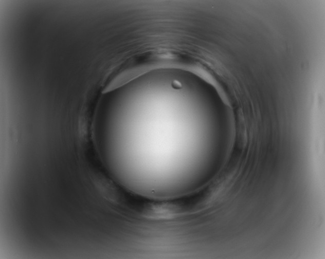 X0000089450268200706151437