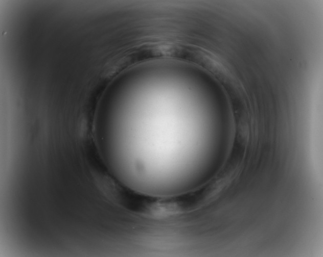 X0000089450270200706151437