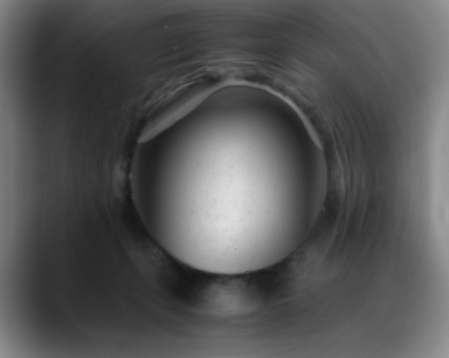 X0000089450271200706151437