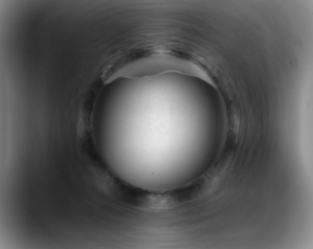 X0000089450272200706151437