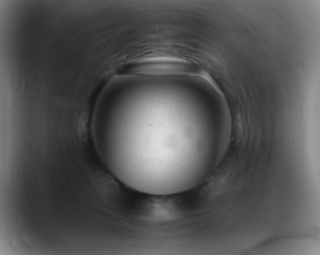 X0000089450275200706151437