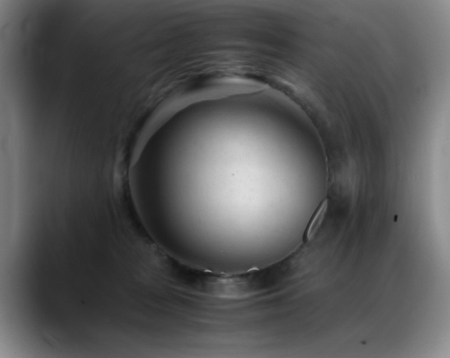 X0000089450277200706151437