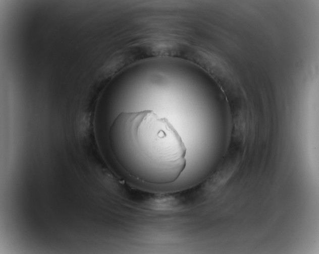 X0000089450278200706151437