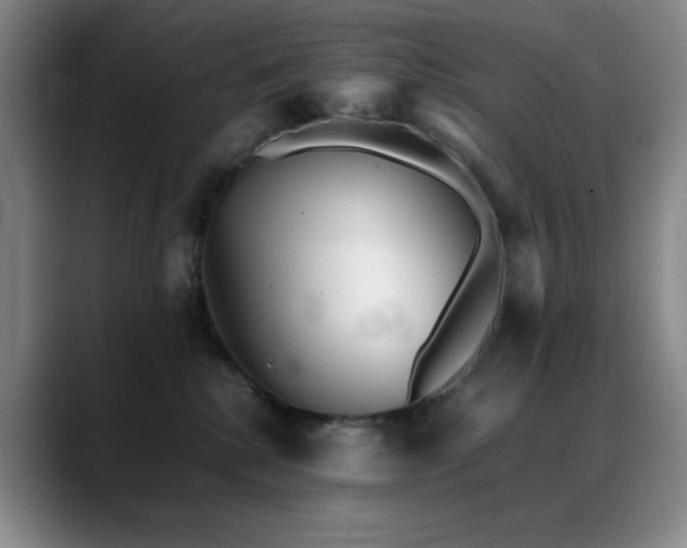 X0000089450280200706151437