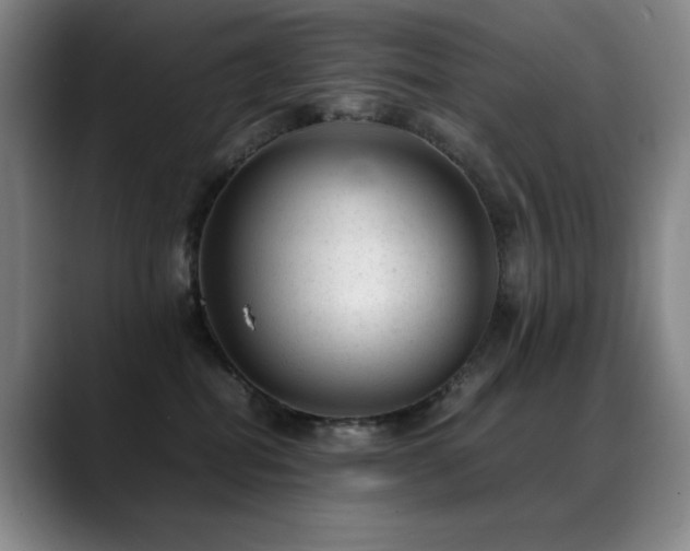 X0000089450282200706151437