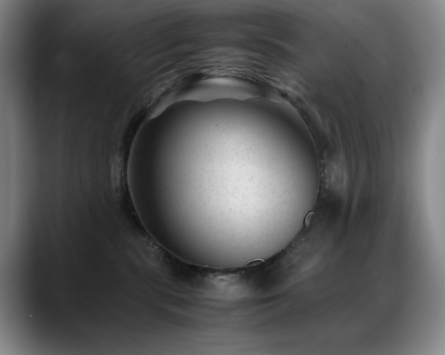 X0000089450283200706151437