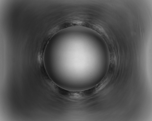 X0000089450285200706151437