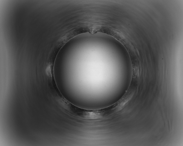 X0000089450286200706151437
