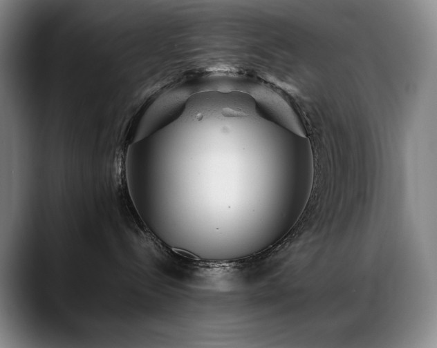 X0000089450288200706151437