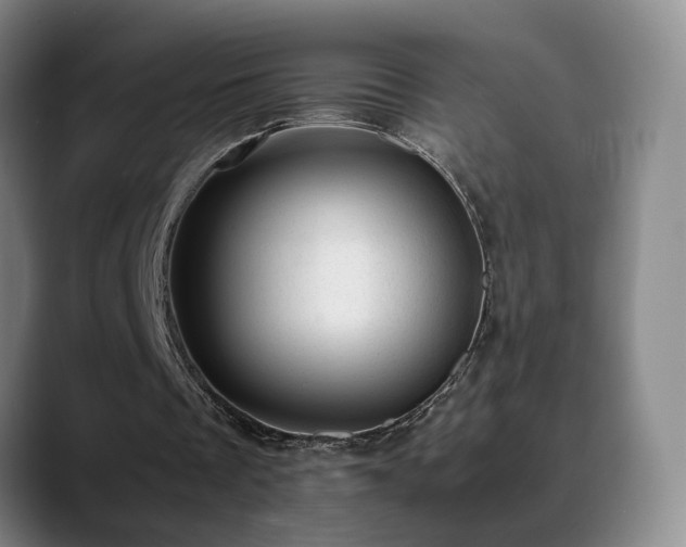 X0000089450289200706151436