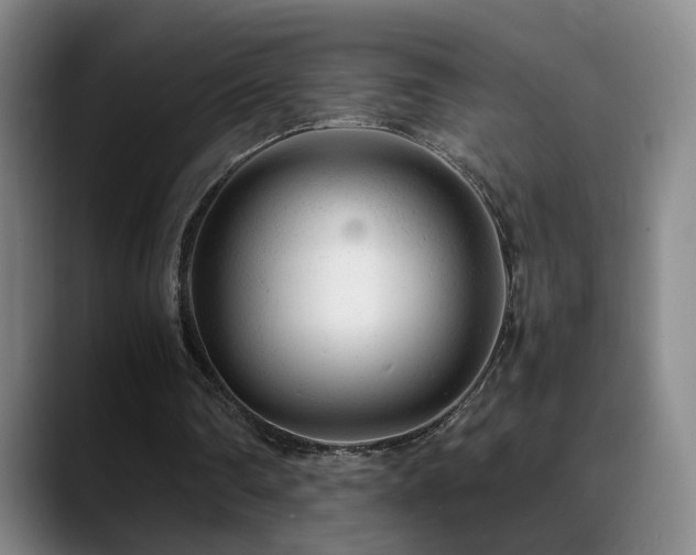 X0000089450290200706151436
