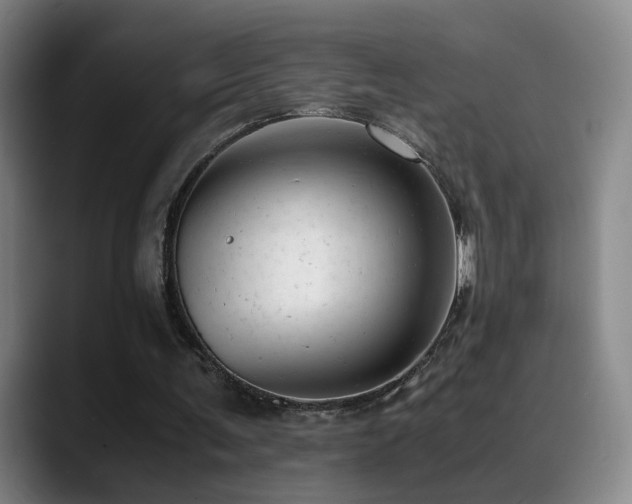 X0000089450291200706151436
