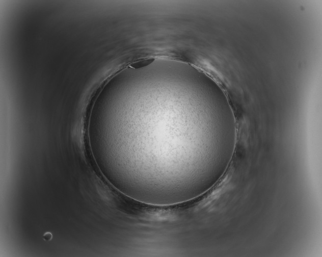 X0000089450293200706151436