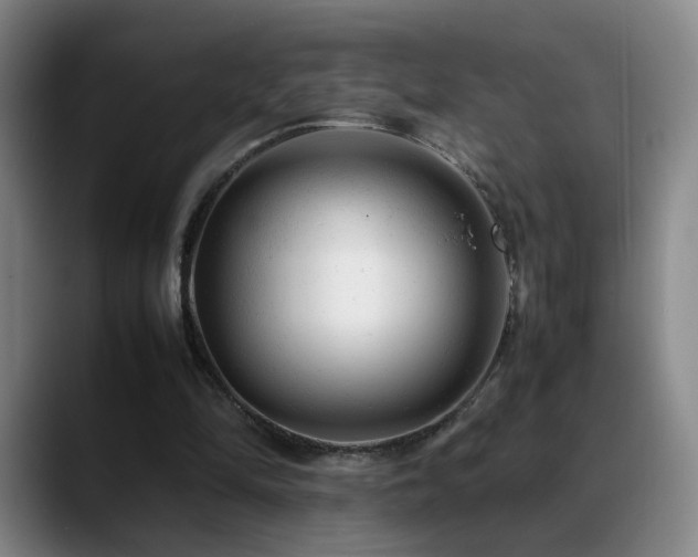X0000089450294200706151436