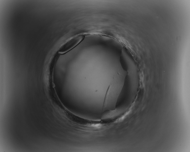 X0000089450295200706151436