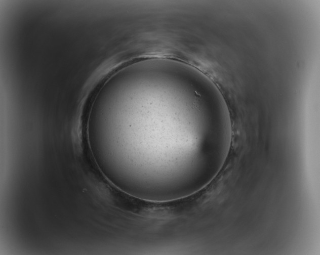 X0000089450296200706151436