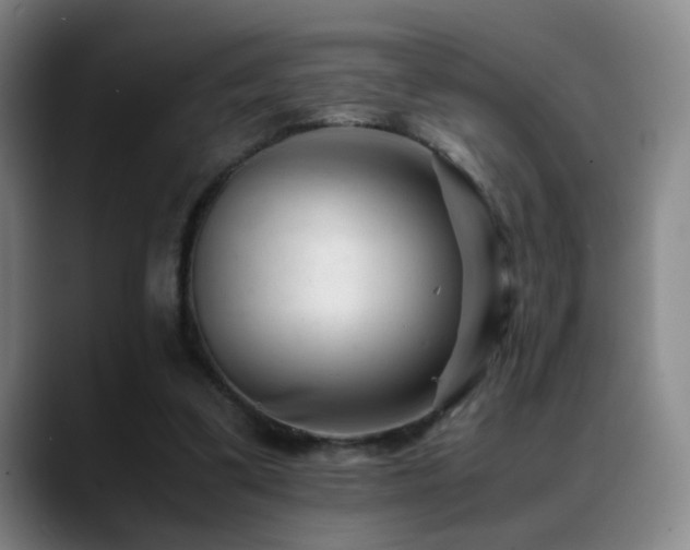 X0000089450299200706151436