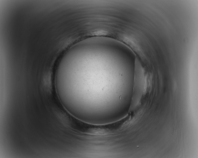 X0000089450300200706151436