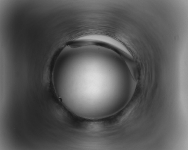 X0000089450303200706151436