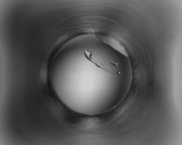 X0000089450304200706151436