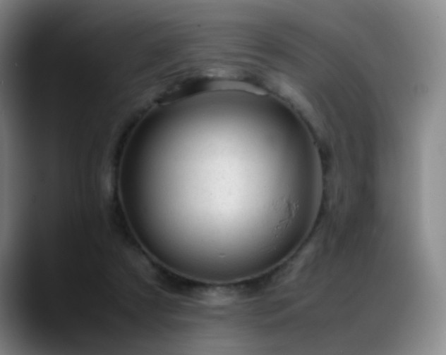 X0000089450305200706151436