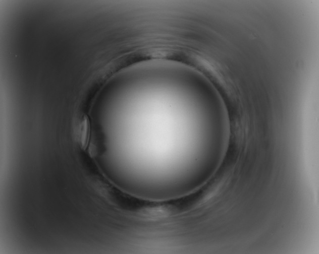 X0000089450307200706151436