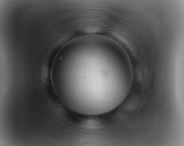 X0000089450308200706151436