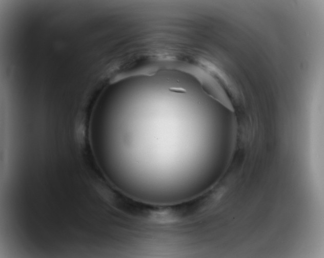 X0000089450309200706151436