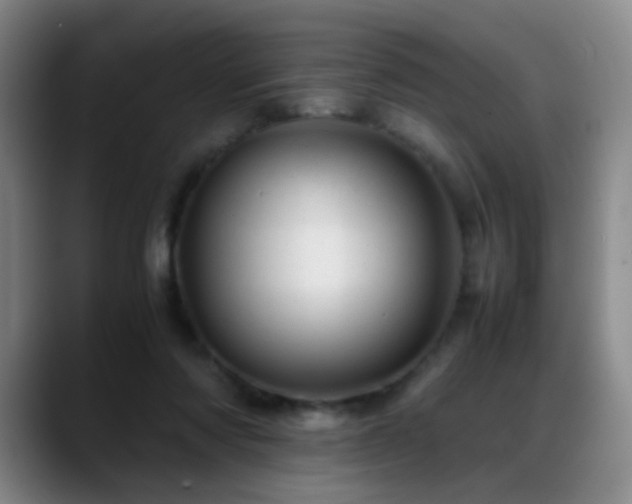 X0000089450310200706151436