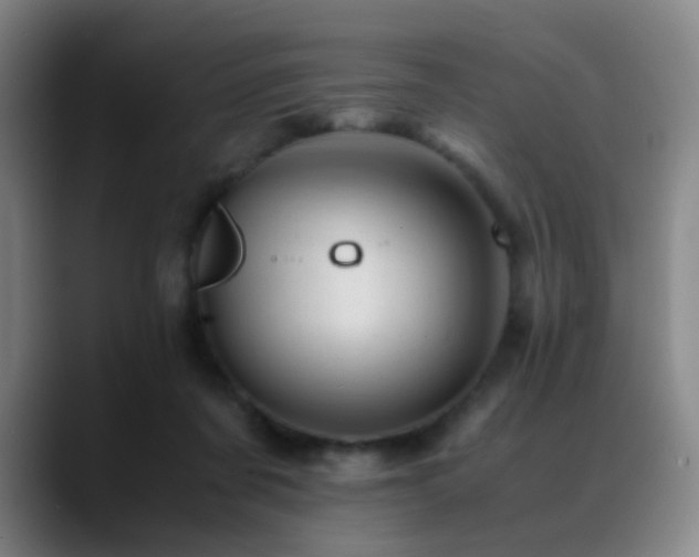 X0000089450311200706151436
