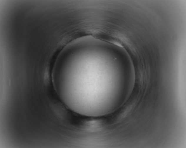 X0000089450312200706151436