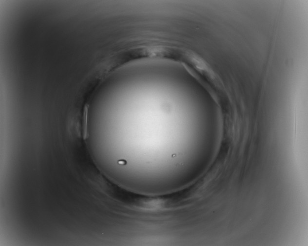 X0000089450313200706151436