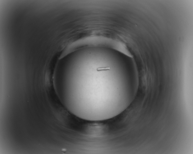 X0000089450316200706151436