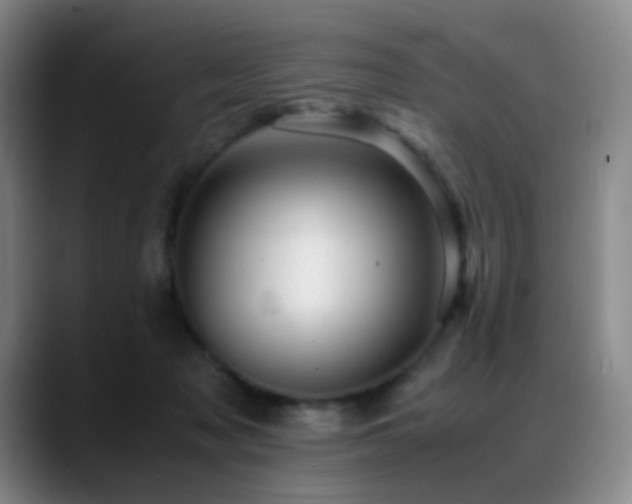 X0000089450317200706151436