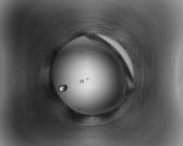 X0000089450319200706151436