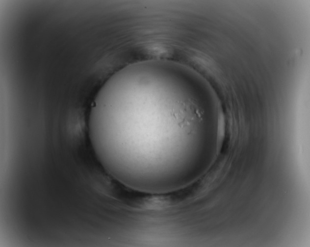 X0000089450320200706151436