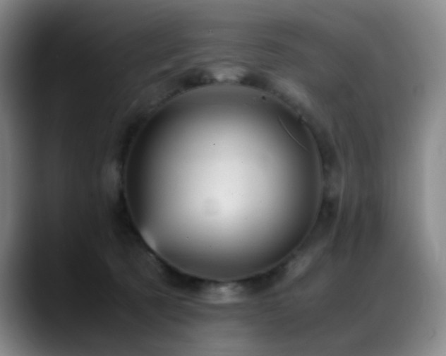 X0000089450321200706151436