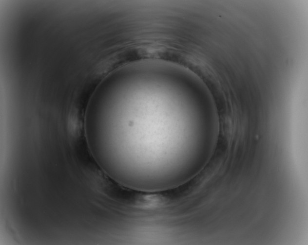 X0000089450324200706151436
