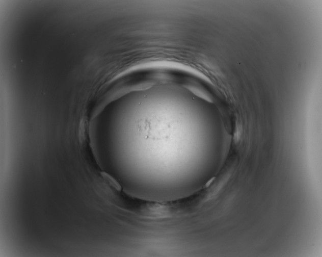 X0000089450325200706151436